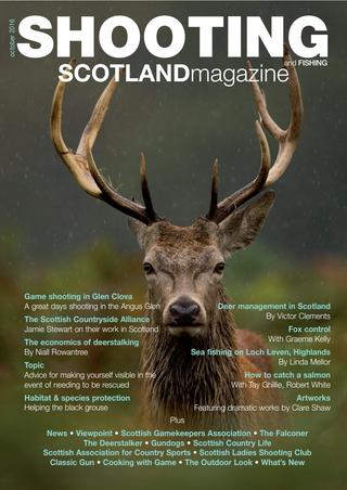 MY DELIGHT IN HAVING A MAGAZINE COLUMN IN A NEW PUBLICATION