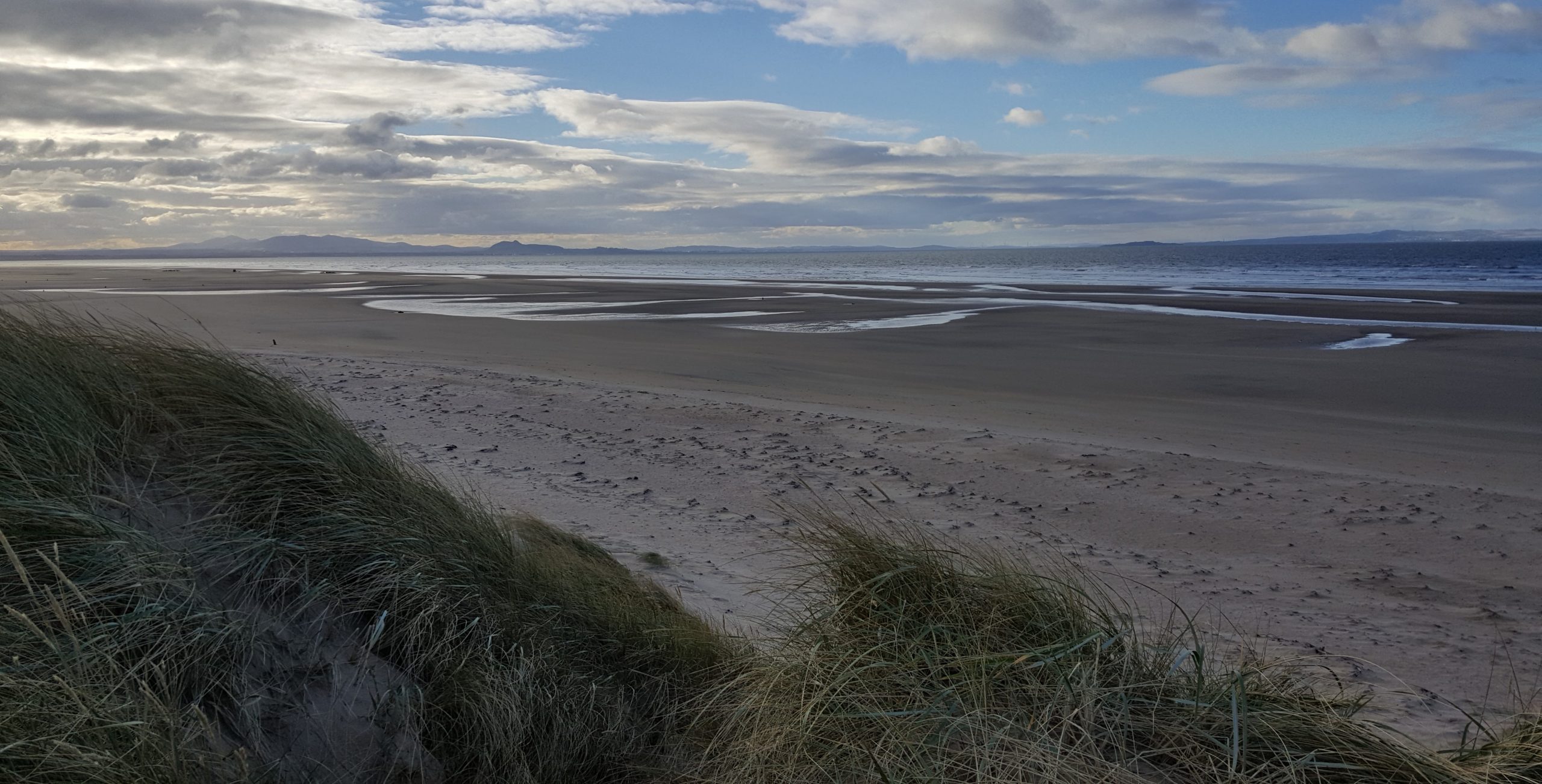 VISIT TO ABERLADY BAY, A HAVEN FOR BIRDS AND A COASTAL GEM